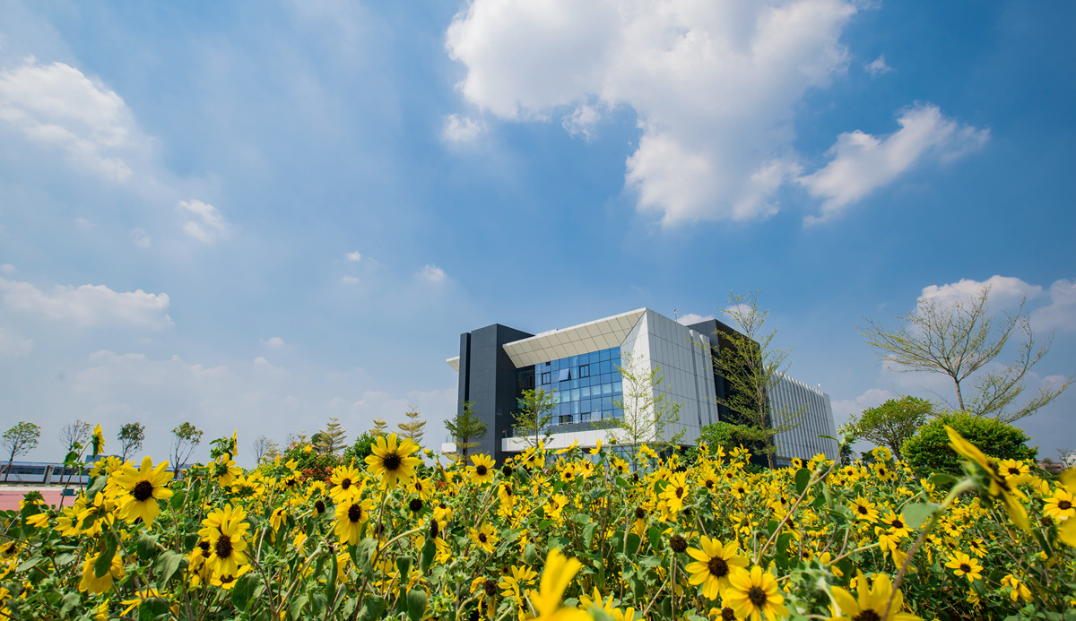 康健城HJC888黄金城厂